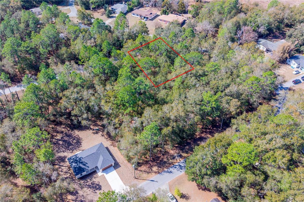 Property for sale at TBD NE 1ST PL, LOT 6, WILLISTON, FL, 32696
