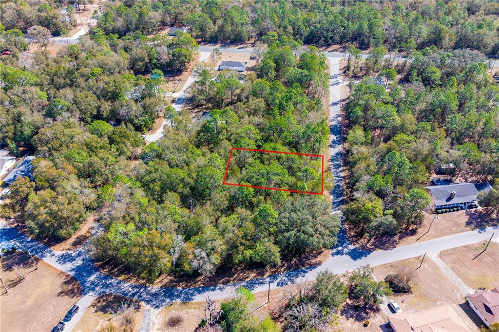 Property for sale at TBD NE 1ST PL, LOT 6, WILLISTON, FL, 32696