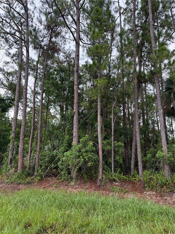 Property for sale at 2361 SAN FILIPPO DRIVE SE, PALM BAY, FL, 32909