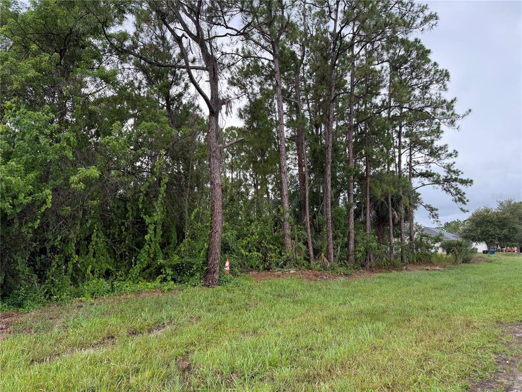 Property for sale at 2361 SAN FILIPPO DRIVE SE, PALM BAY, FL, 32909