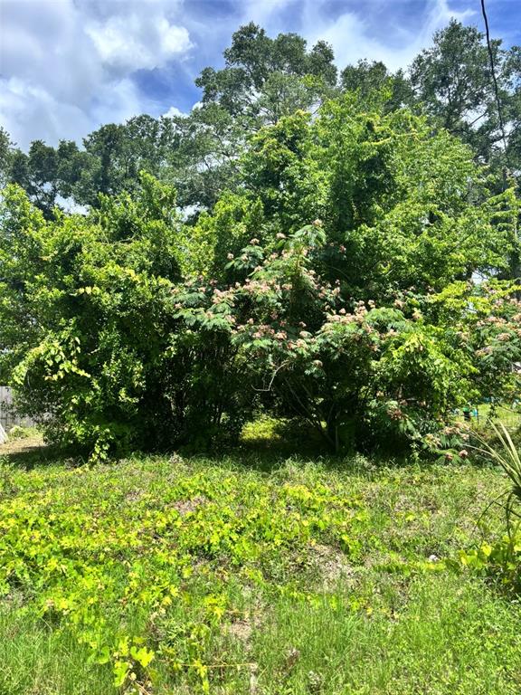 Property for sale at 206 NE 13TH AVENUE, CHIEFLAND, FL, 32626