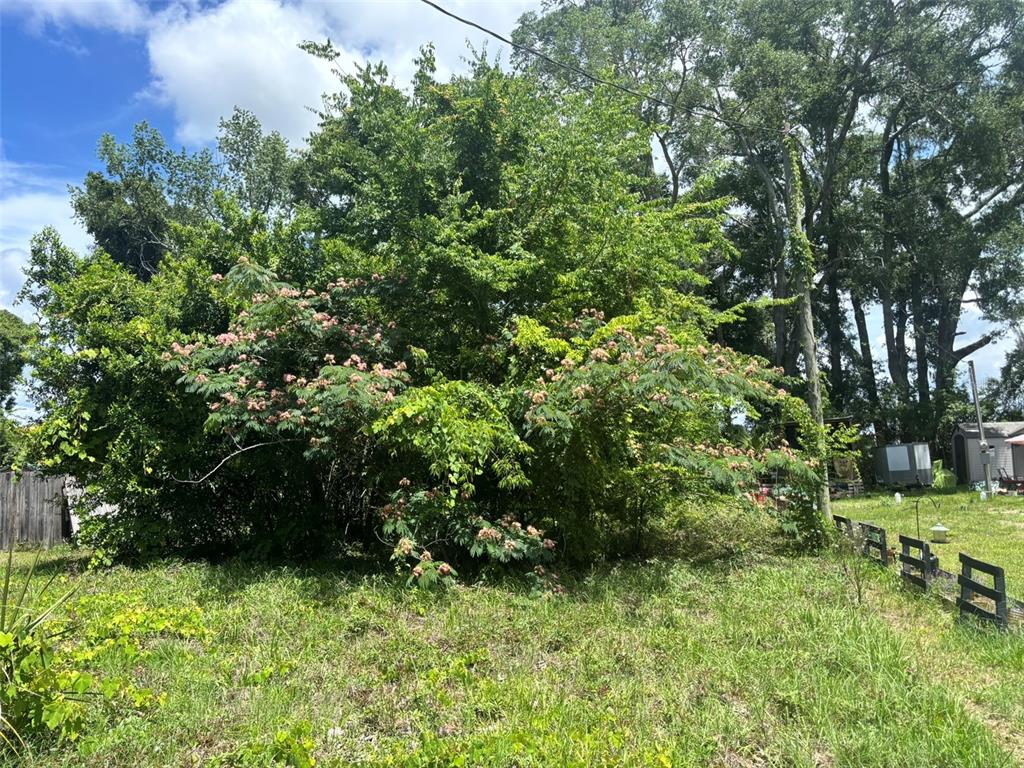 Property for sale at 206 NE 13TH AVENUE, CHIEFLAND, FL, 32626