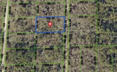 Property for sale at TBD PACKINGHAM DRIVE, WEBSTER, FL, 33597