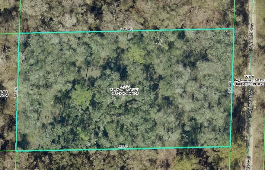 Property for sale at TBD PACKINGHAM DRIVE, WEBSTER, FL, 33597