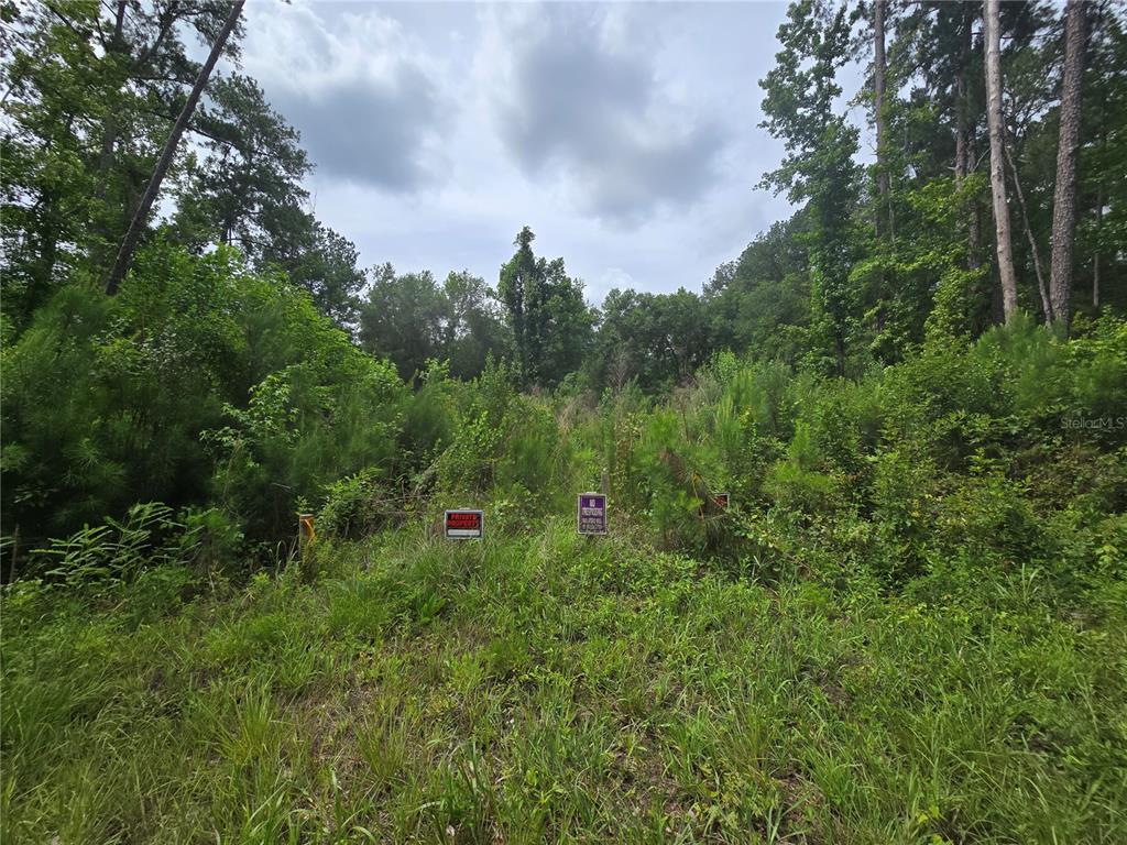 Property for sale at 316 SEQUOIA DRIVE, OCKLAWAHA, FL, 32179