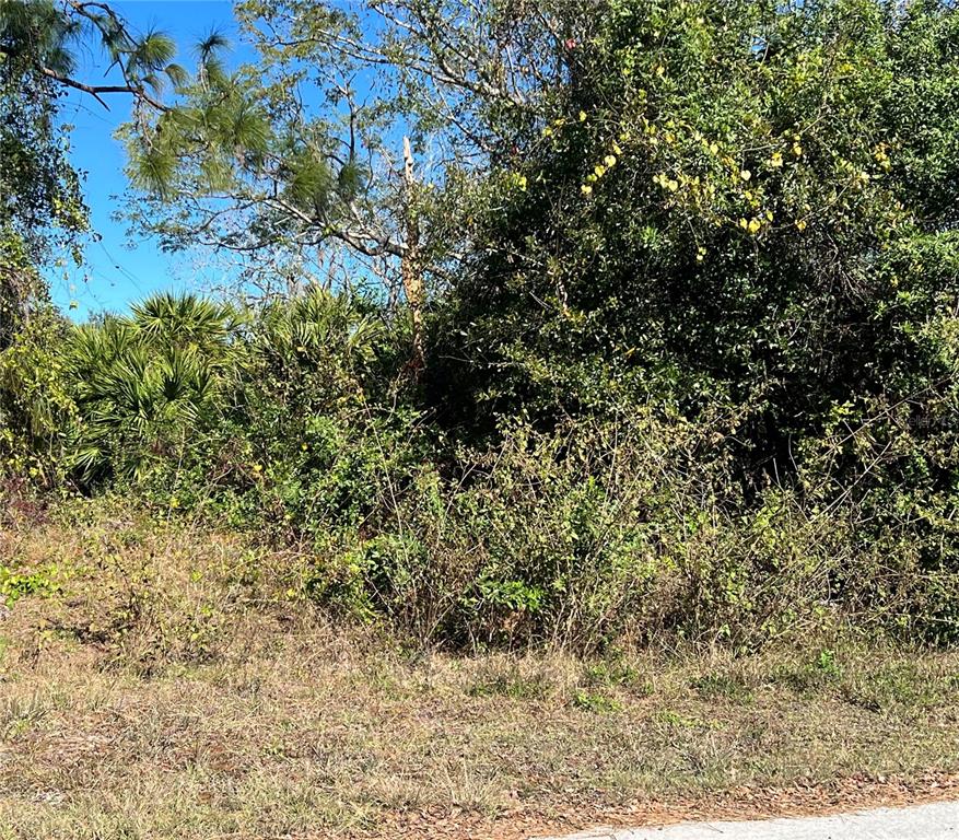 Property for sale at 510 CALLIANDRA DRIVE, INDIAN LAKE ESTATES, FL, 33855