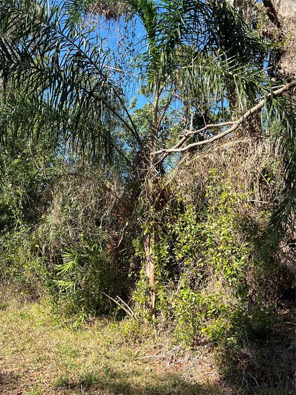 Property for sale at 510 CALLIANDRA DRIVE, INDIAN LAKE ESTATES, FL, 33855