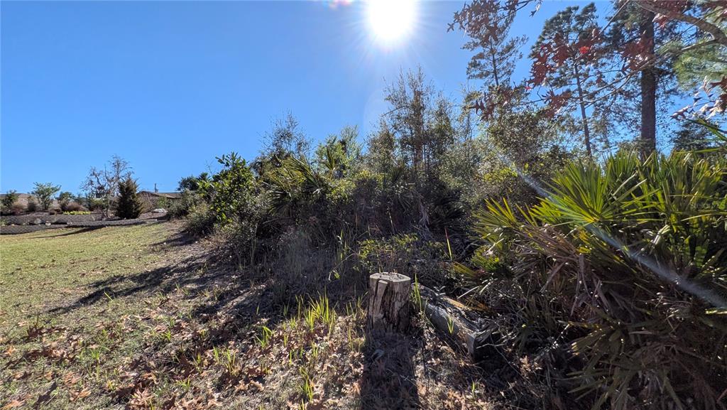 Property for sale at 13014 HANLEY DRIVE, SPRING HILL, FL, 34609