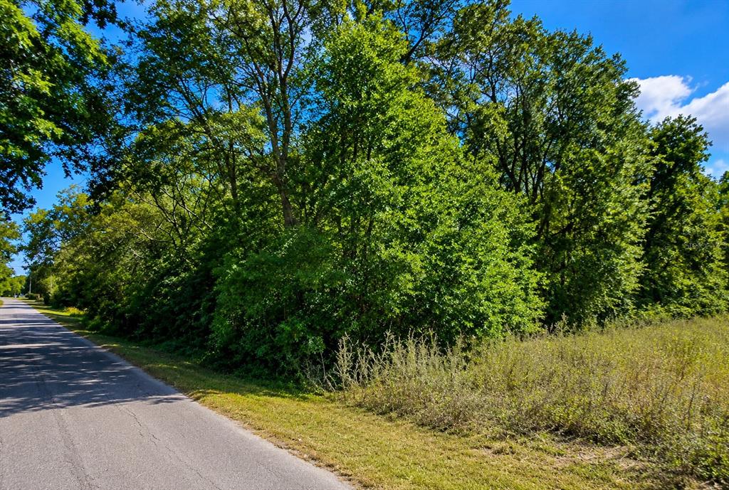 Property for sale at FISHER LN CT, OCKLAWAHA, FL, 32179