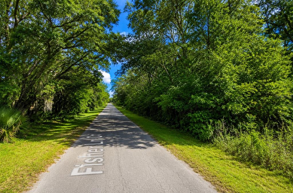 Property for sale at FISHER LN CT, OCKLAWAHA, FL, 32179