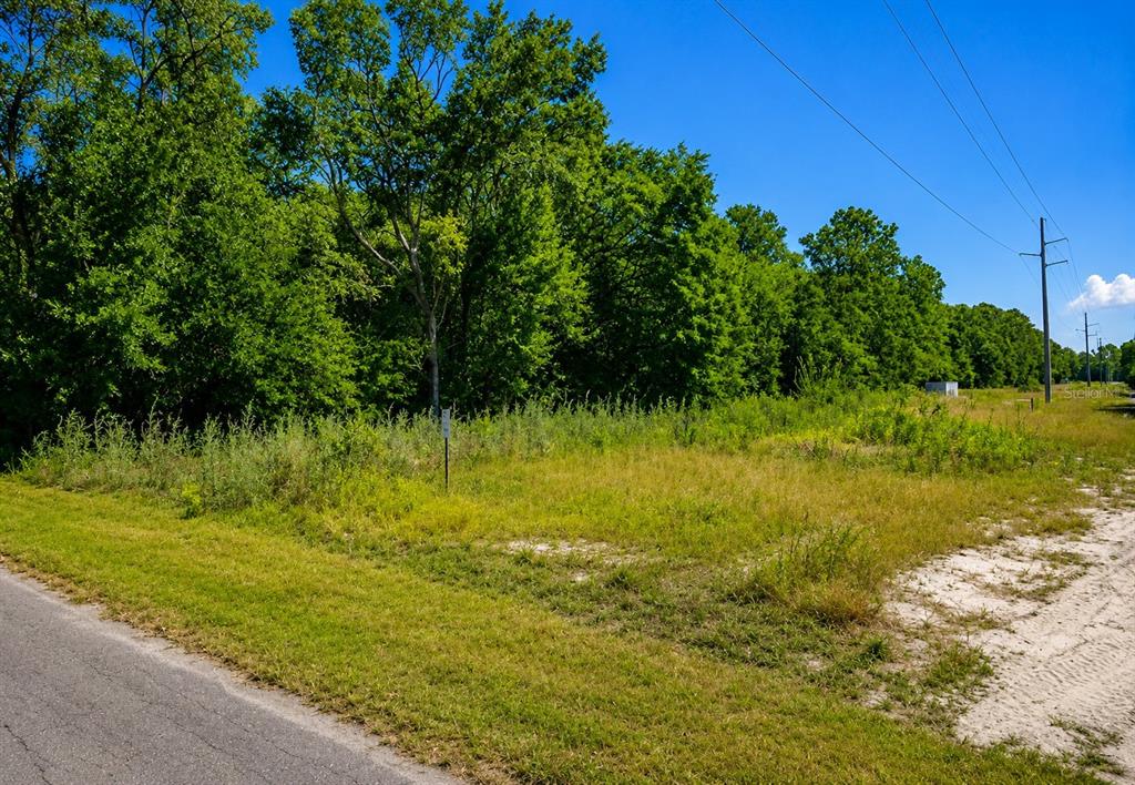 Property for sale at FISHER LN CT, OCKLAWAHA, FL, 32179