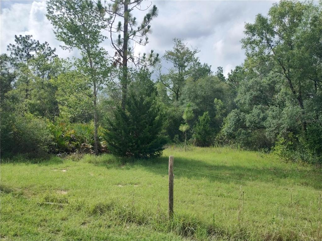 Property for sale at 6033 W TIRANA LANE, DUNNELLON, FL, 34433