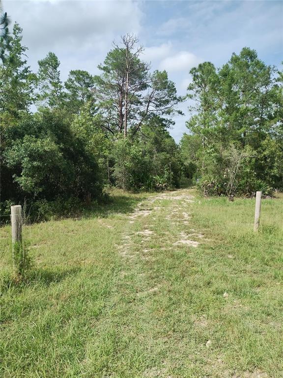 Property for sale at 6033 W TIRANA LANE, DUNNELLON, FL, 34433