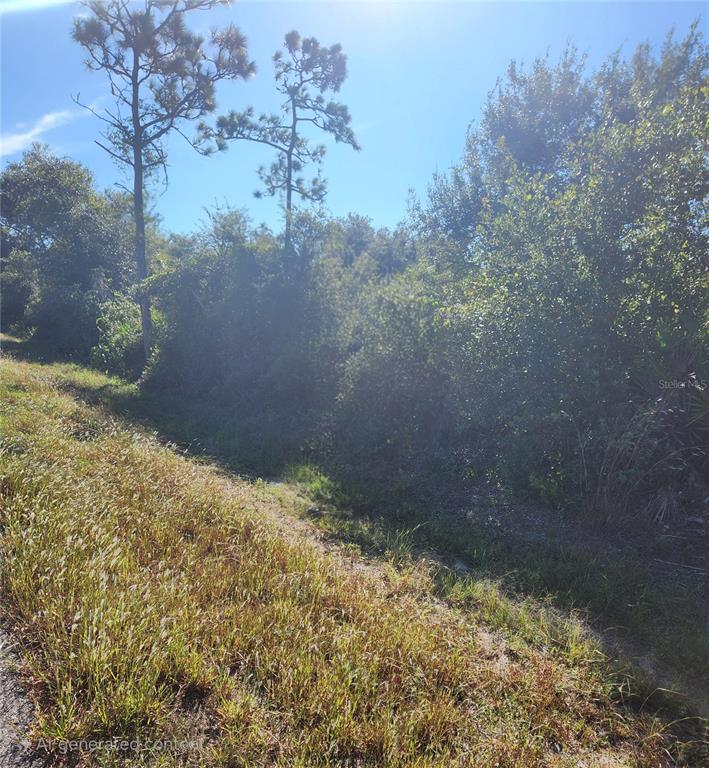 Property for sale at 29221 DEFIANCE AVENUE, PUNTA GORDA, FL, 33982