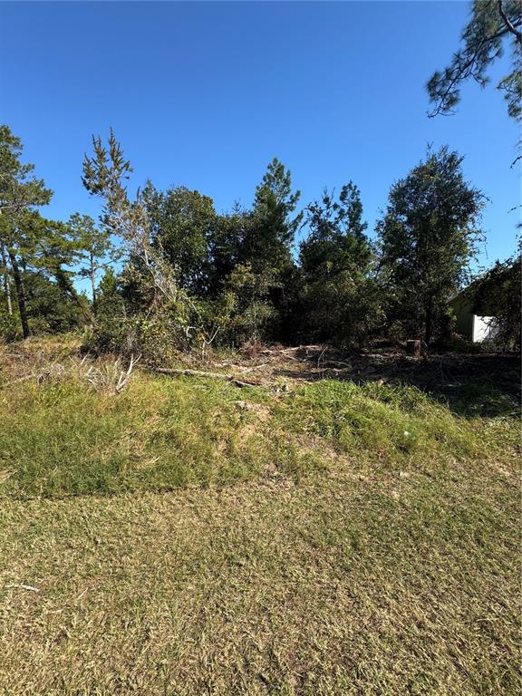 Property for sale at 19 FREEPORT LANE, PALM COAST, FL, 32137