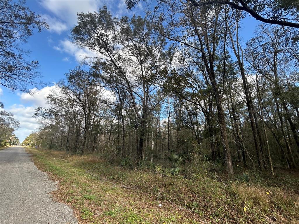 Property for sale at 10040 MCMAHON AVENUE, HASTINGS, FL, 32145