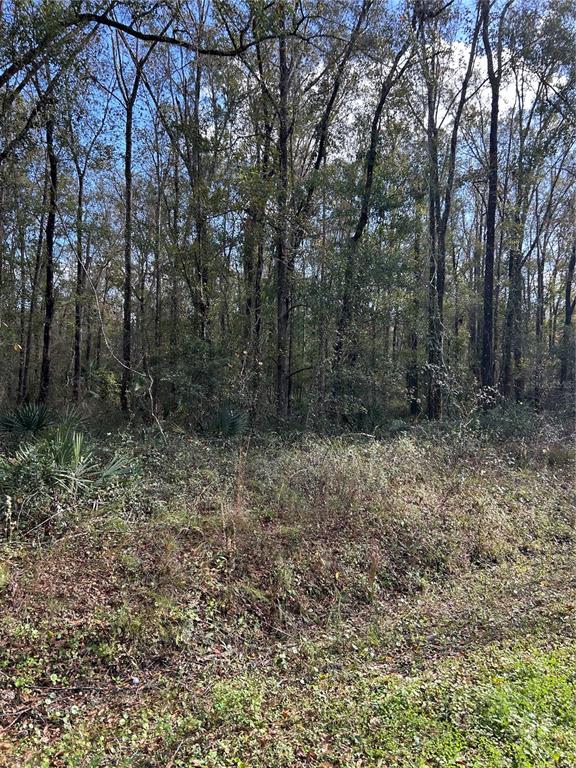 Property for sale at 10040 MCMAHON AVENUE, HASTINGS, FL, 32145