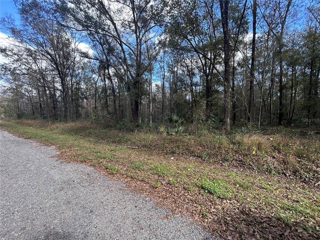 Property for sale at 10040 MCMAHON AVENUE, HASTINGS, FL, 32145