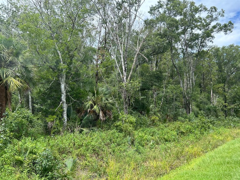 Property for sale at 10040 MCMAHON AVENUE, HASTINGS, FL, 32145