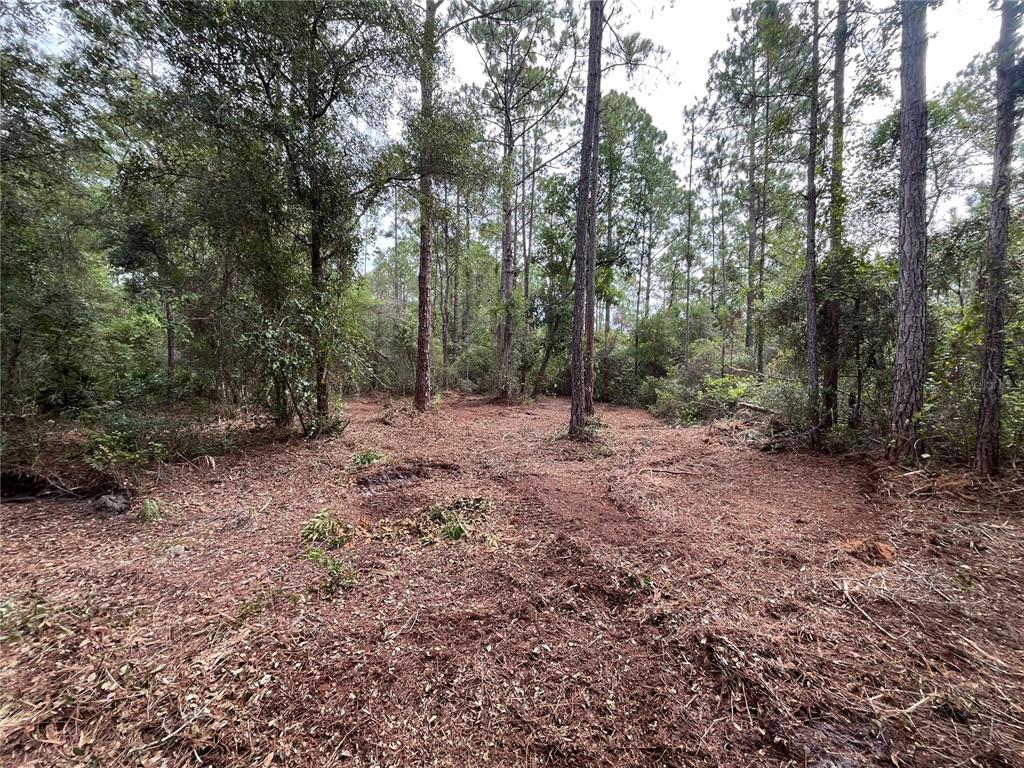 Property for sale at 124 GLENSIDE STREET, GEORGETOWN, FL, 32139