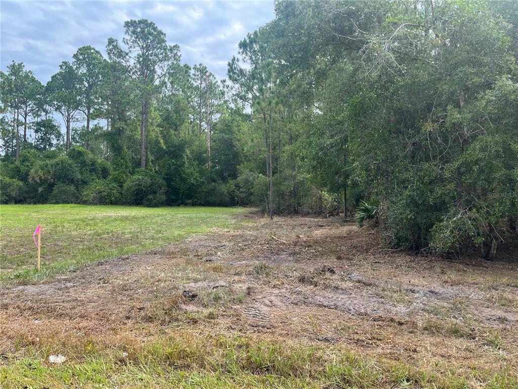 Property for sale at 124 GLENSIDE STREET, GEORGETOWN, FL, 32139