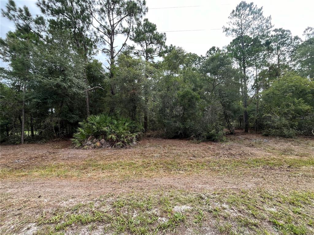 Property for sale at 124 GLENSIDE STREET, GEORGETOWN, FL, 32139