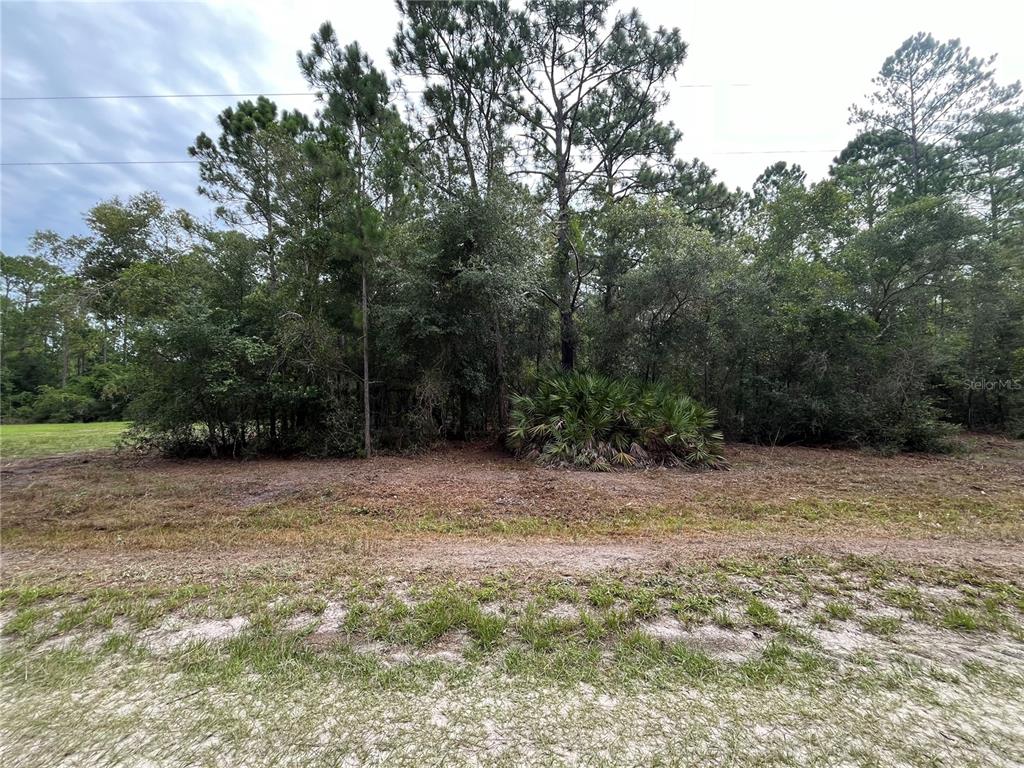 Property for sale at 124 GLENSIDE STREET, GEORGETOWN, FL, 32139