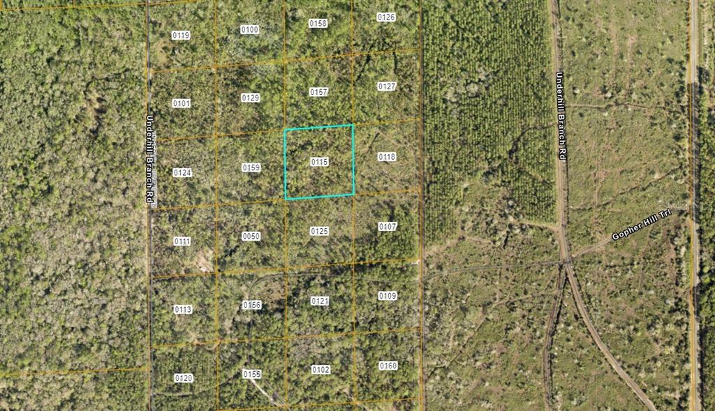 Property for sale at LAKE HARNEY ROAD, OSTEEN, FL, 32764
