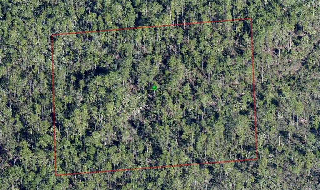 Property for sale at LAKE HARNEY ROAD, OSTEEN, FL, 32764