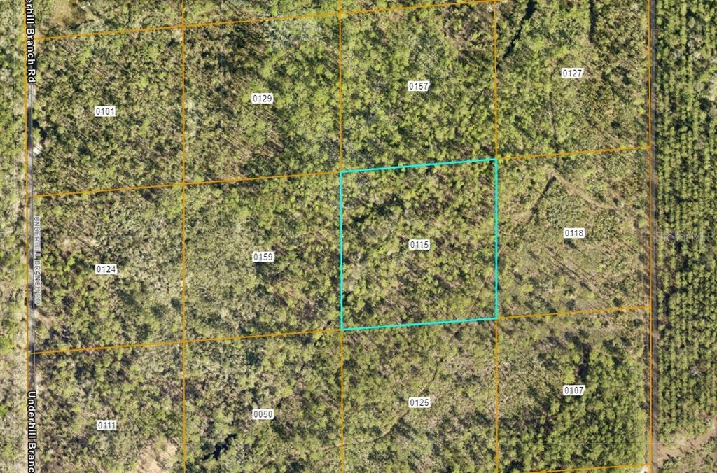Property for sale at LAKE HARNEY ROAD, OSTEEN, FL, 32764