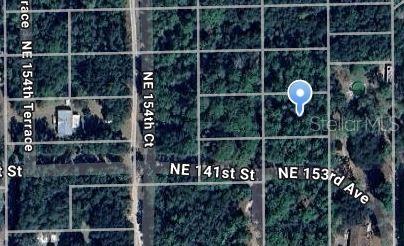 Property for sale at NE 153RD AVENUE, FORT MC COY, FL, 32134