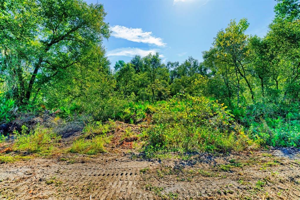 Property for sale at 0 SANDSTONE STREET, WEBSTER, FL, 33597