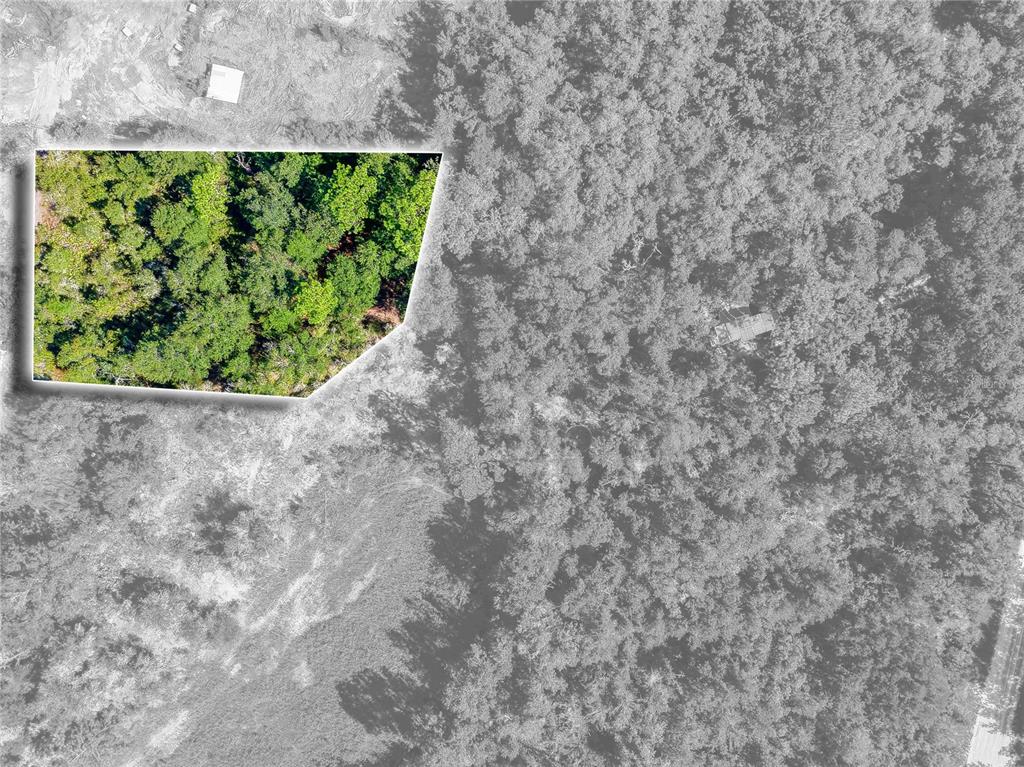 Property for sale at 0 SANDSTONE STREET, WEBSTER, FL, 33597