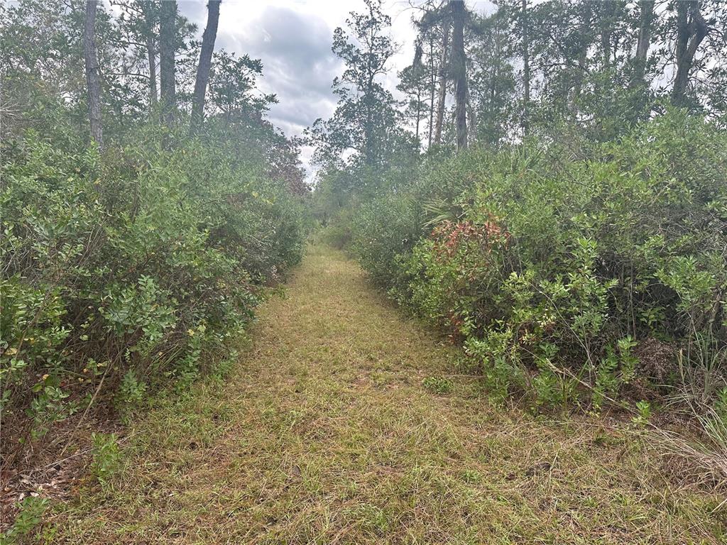 Property for sale at 1112 GREENBRIAR DRIVE, CHRISTMAS, FL, 32709