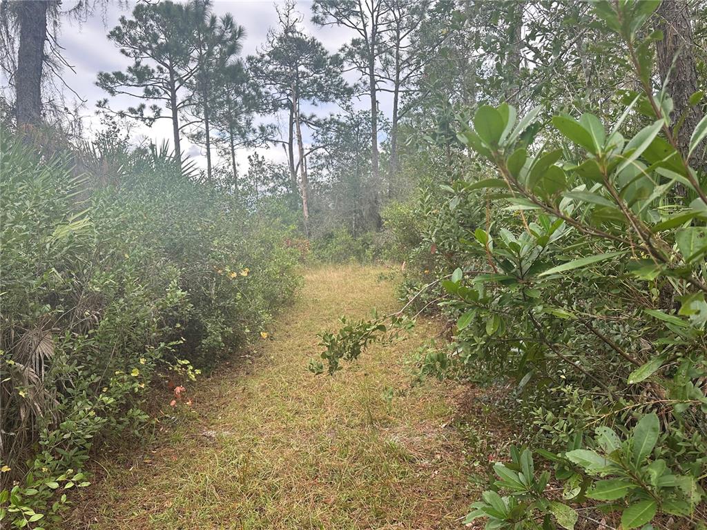 Property for sale at 1112 GREENBRIAR DRIVE, CHRISTMAS, FL, 32709