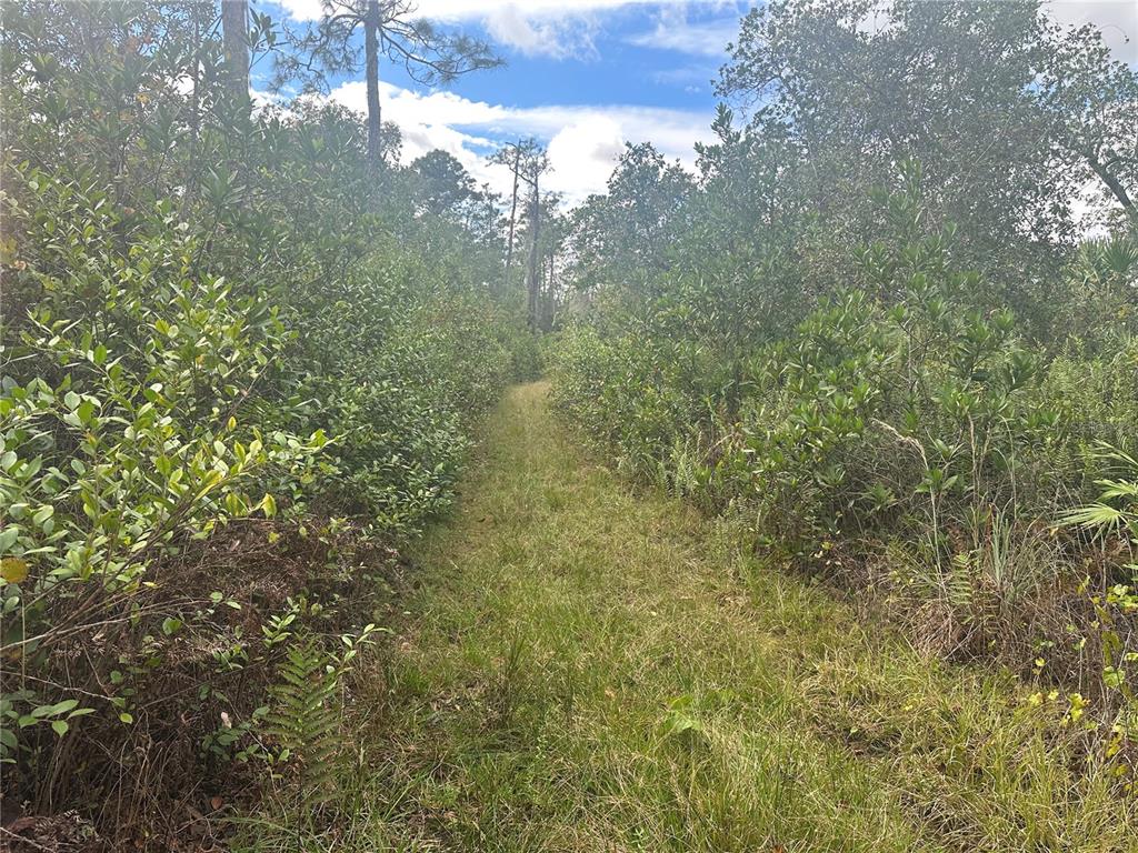 Property for sale at 1112 GREENBRIAR DRIVE, CHRISTMAS, FL, 32709