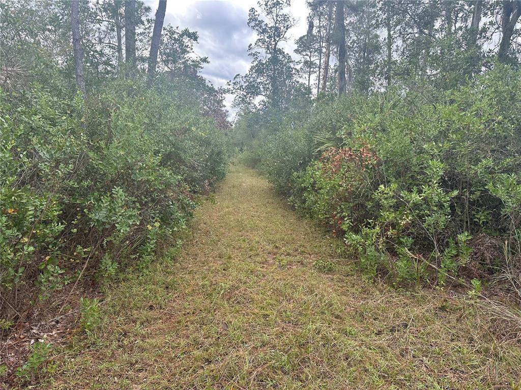 Property for sale at 1112 GREENBRIAR DRIVE, CHRISTMAS, FL, 32709