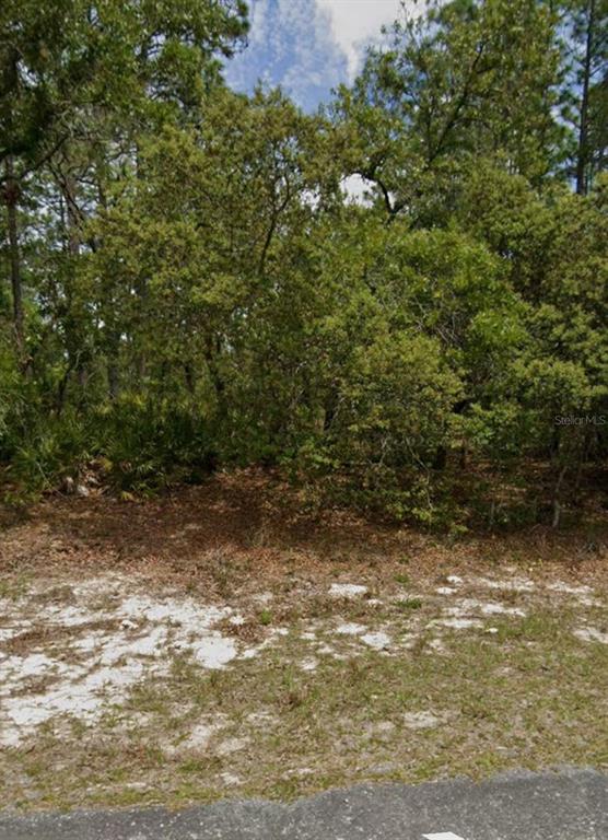 Property for sale at 5732 N SUMMERFIELD POINT, DUNNELLON, FL, 34434