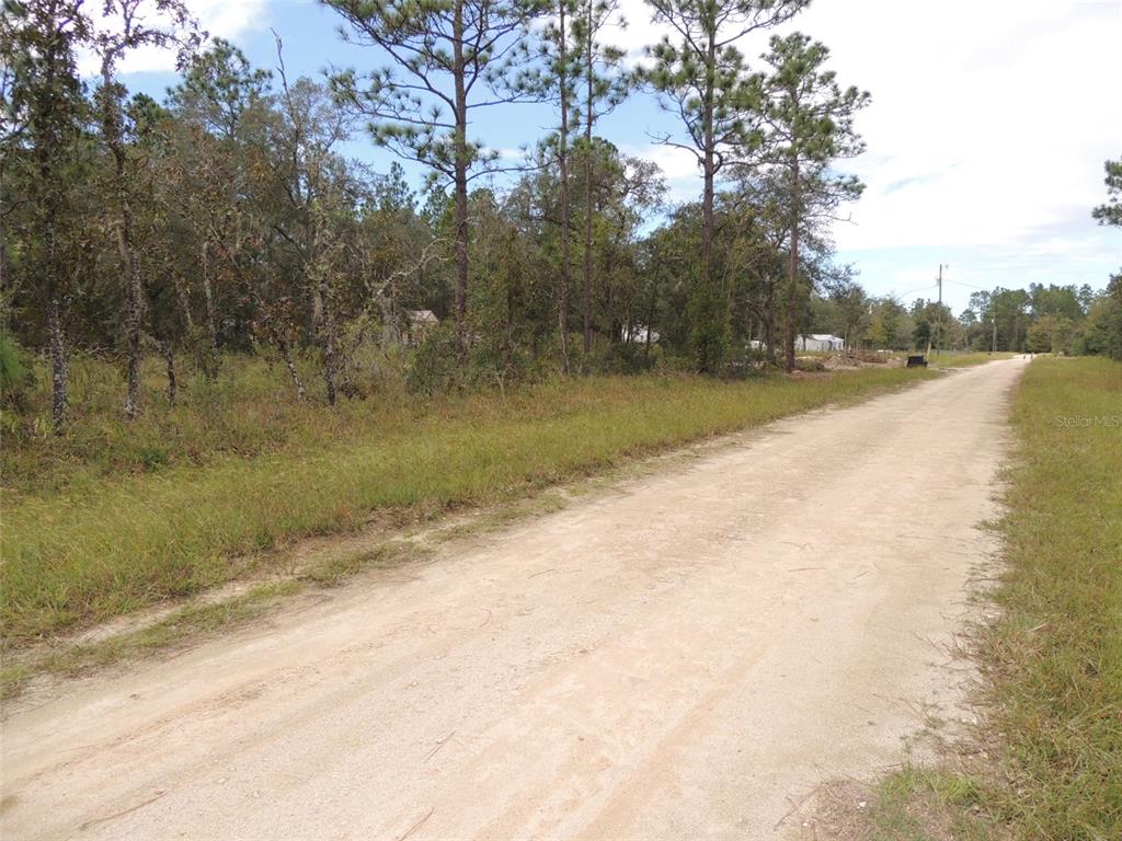 Property for sale at 690 NE 135TH COURT, WILLISTON, FL, 32696