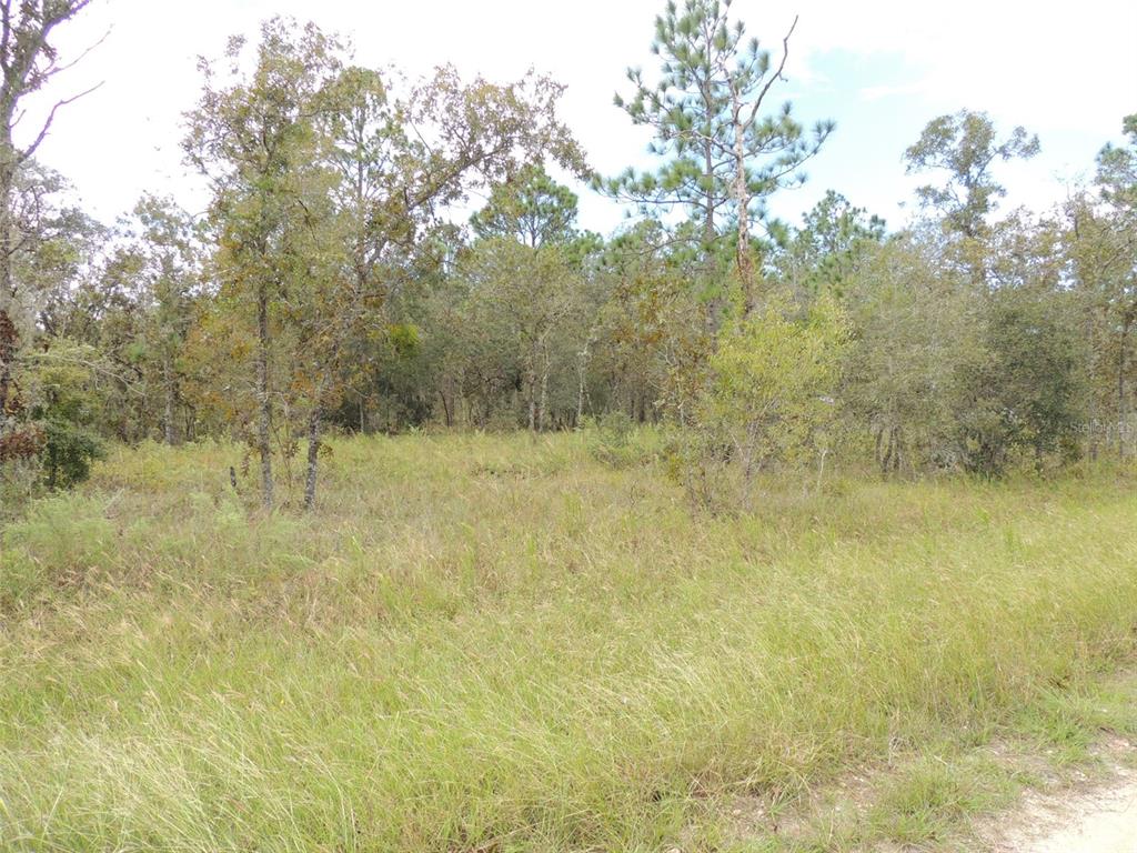 Property for sale at 690 NE 135TH COURT, WILLISTON, FL, 32696