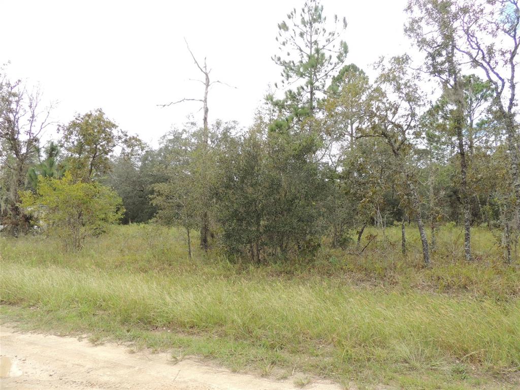 Property for sale at 690 NE 135TH COURT, WILLISTON, FL, 32696