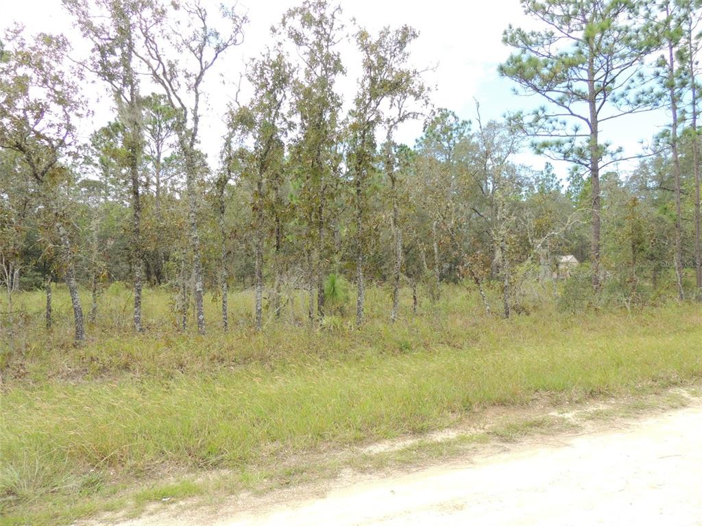 Property for sale at 690 NE 135TH COURT, WILLISTON, FL, 32696