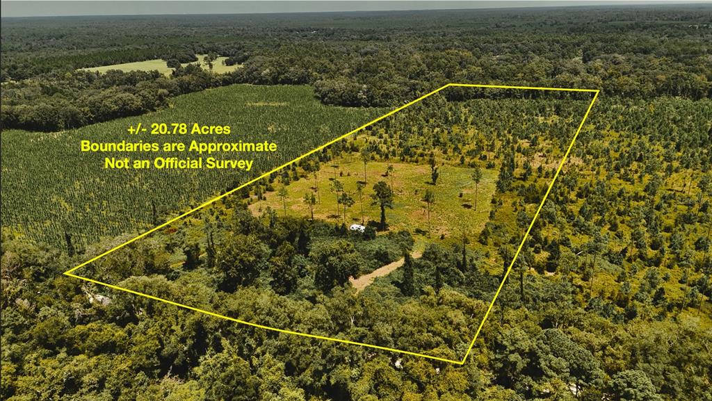 Property for sale at 00 99TH LANE, LIVE OAK, FL, 32060