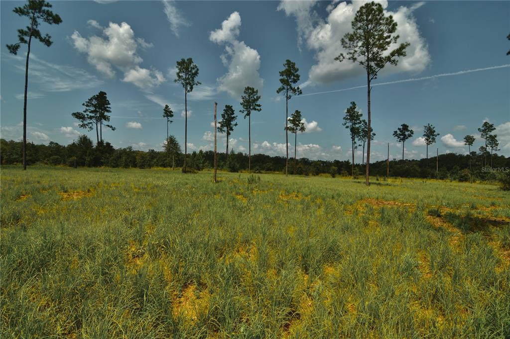 Property for sale at 00 99TH LANE, LIVE OAK, FL, 32060