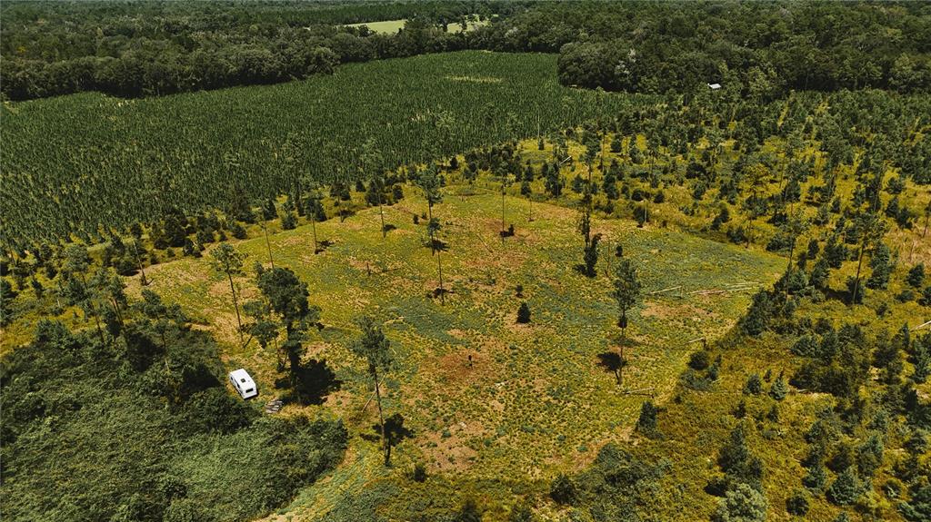 Property for sale at 00 99TH LANE, LIVE OAK, FL, 32060