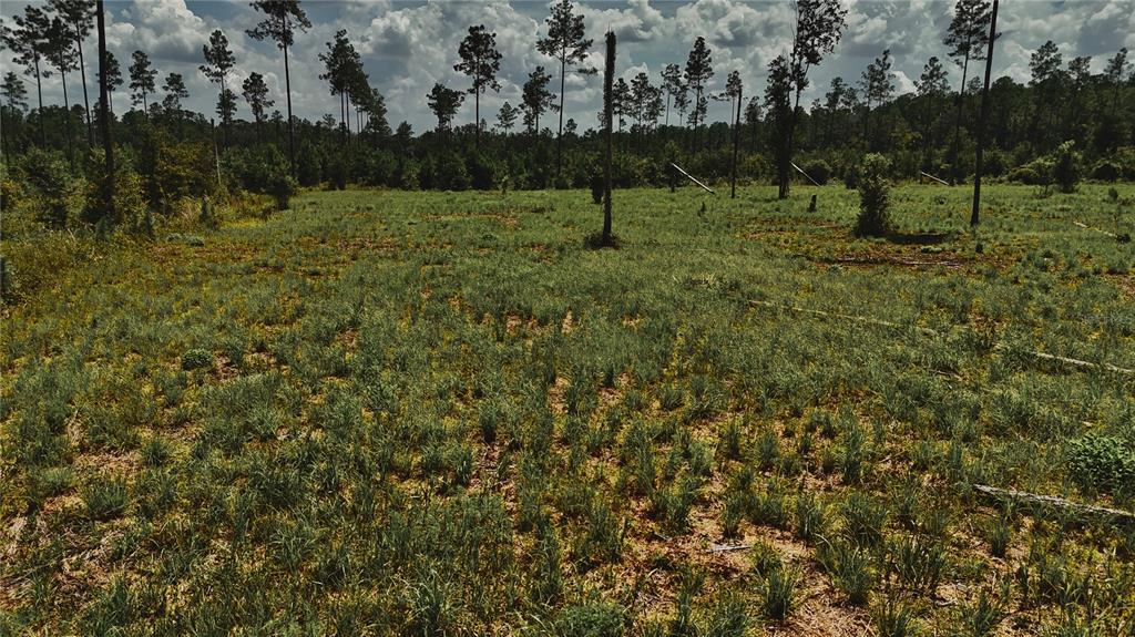 Property for sale at 00 99TH LANE, LIVE OAK, FL, 32060
