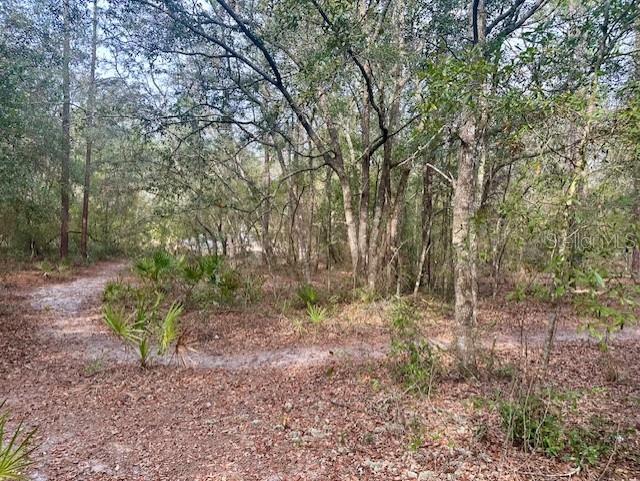 Property for sale at NW 11TH AVENUE, BELL, FL, 32619