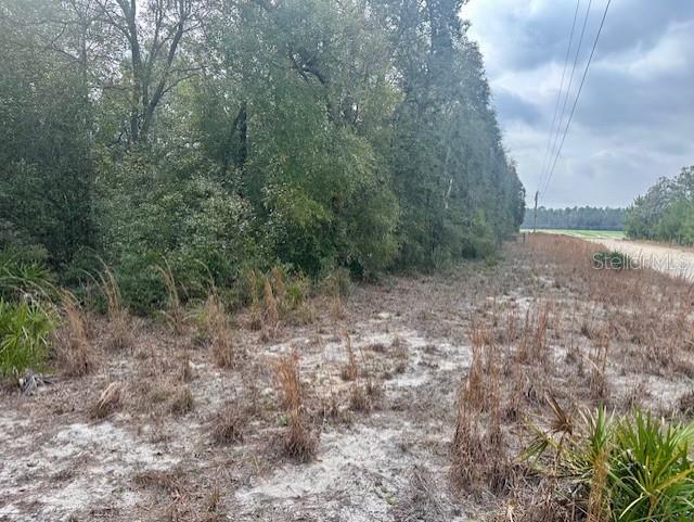 Property for sale at NW 11TH AVENUE, BELL, FL, 32619