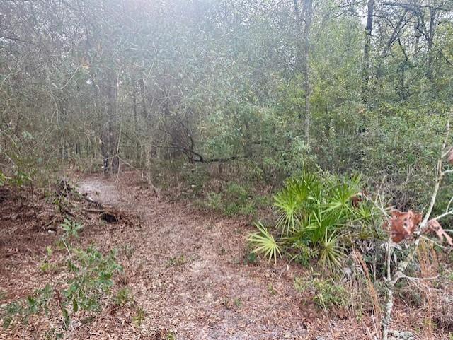 Property for sale at NW 11TH AVENUE, BELL, FL, 32619