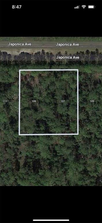 Property for sale at 109 JAPONICA AVENUE, INDIAN LAKE ESTATES, FL, 33855